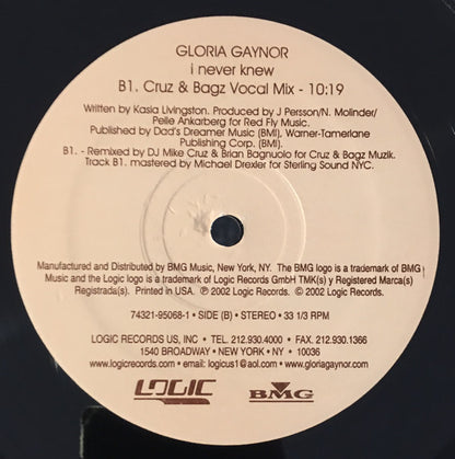 Gloria Gaynor : I Never Knew (2x12")