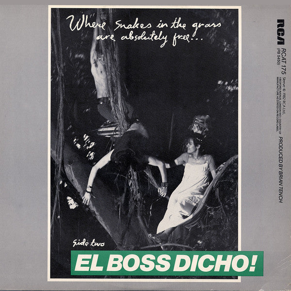 Bow Wow Wow : Go Wild In The Country (12", Single)