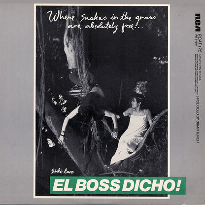Bow Wow Wow : Go Wild In The Country (12", Single)
