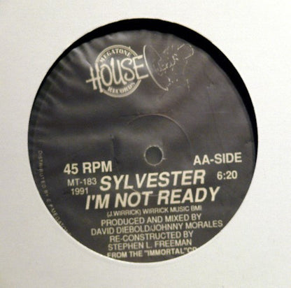 Sylvester : Menergy (House Remix) / I'm Not Ready (12")