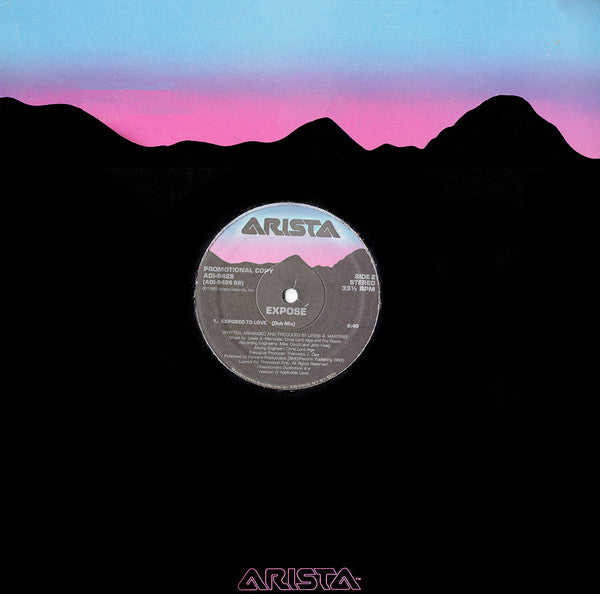 Exposé : Exposed To Love (12")