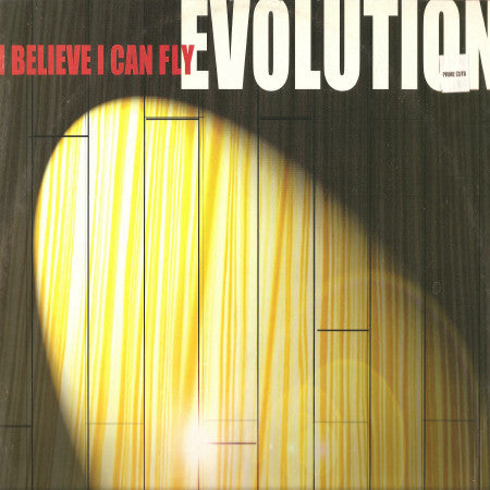 Evolution (16) : I Believe I Can Fly (12")