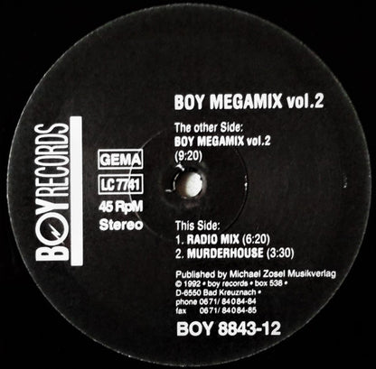 Various : BOY Megamix Vol. 2 (12")
