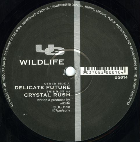 Wildlife : Delicate Future / Crystal Rush (12")