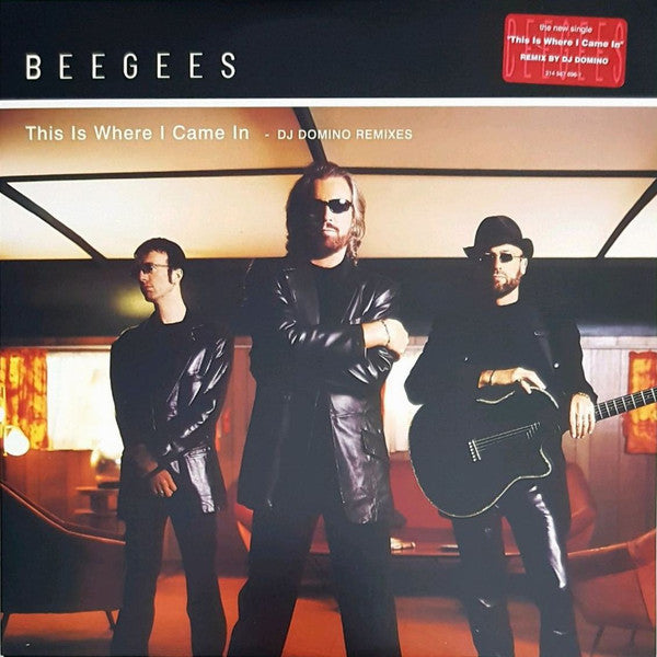 Bee Gees : This Is Where I Came In (DJ Domino Remixes) (12", Single)