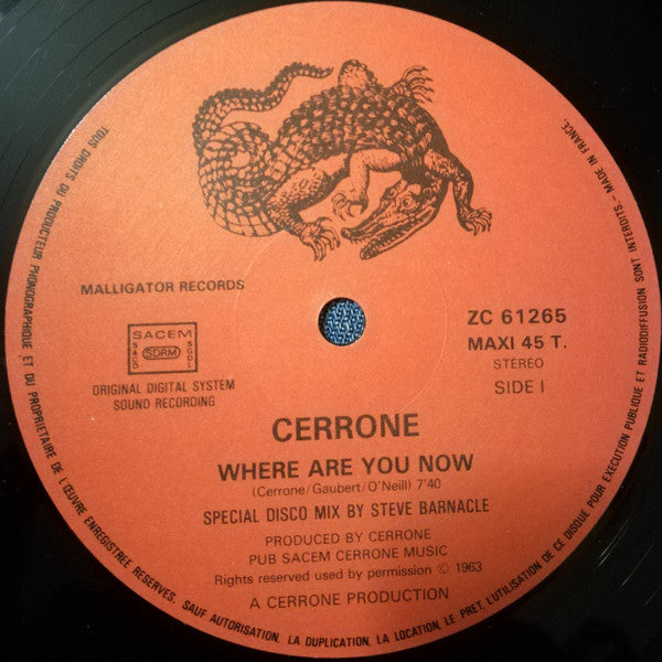 Cerrone : Where Are You Now (12", Maxi)