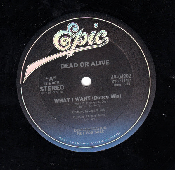 Dead Or Alive : What I Want (12", Promo)