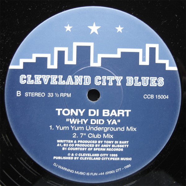 Tony Di Bart : Why Did Ya (12", Single)