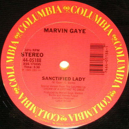 Marvin Gaye : Sanctified Lady (12", Single)