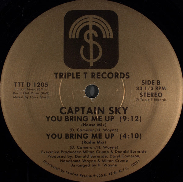 Captain Sky : You Bring Me Up (12")
