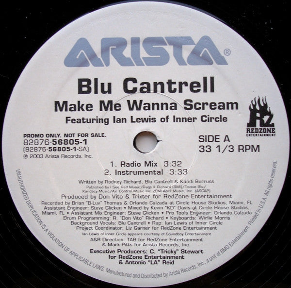 Blu Cantrell Featuring Ian Lewis Of Inner Circle* : Make Me Wanna Scream (12", Promo)