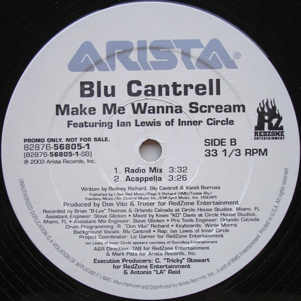 Blu Cantrell Featuring Ian Lewis Of Inner Circle* : Make Me Wanna Scream (12", Promo)