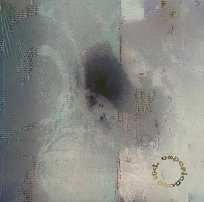 Folder (8) : New Path (LP, Album)