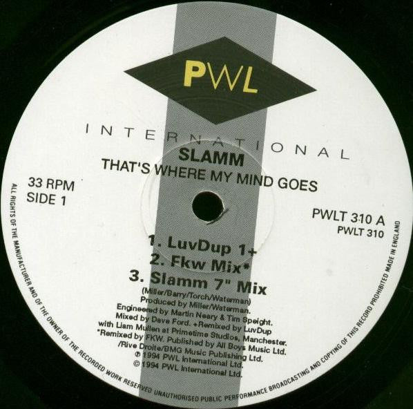 Slamm : That's Where My Mind Goes (12")