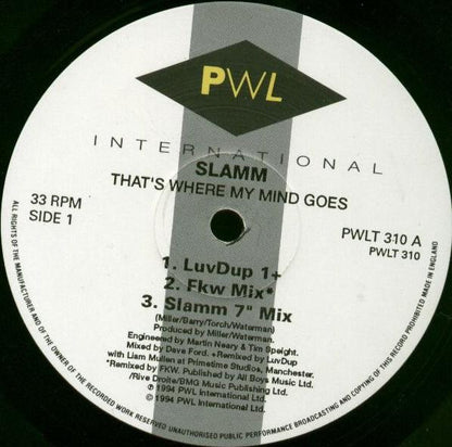 Slamm : That's Where My Mind Goes (12")