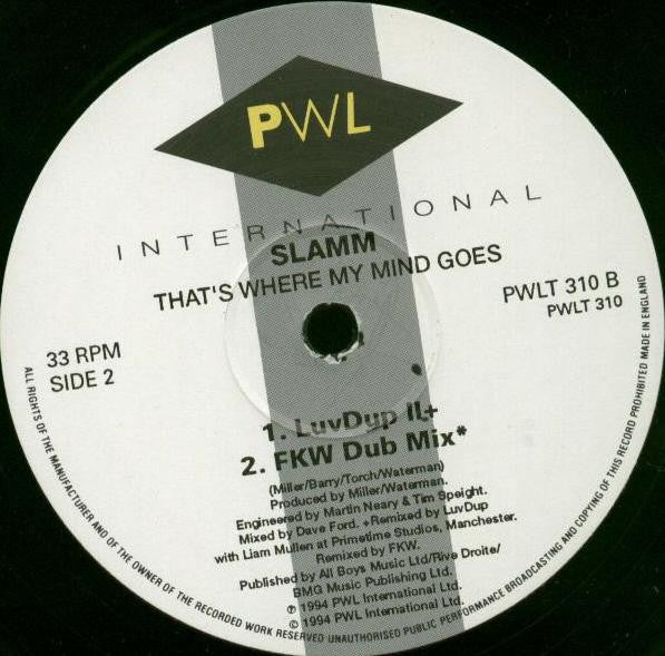 Slamm : That's Where My Mind Goes (12")