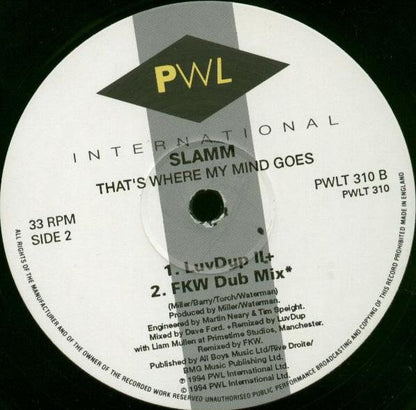 Slamm : That's Where My Mind Goes (12")