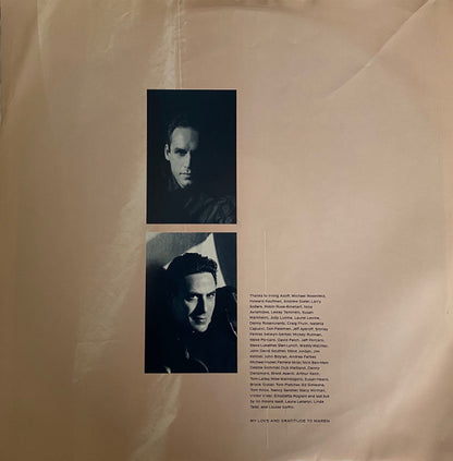 Don Henley : Building The Perfect Beast (LP, Album, All)