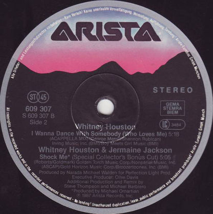 Whitney Houston : Didn't We Almost Have It All (12", Maxi)