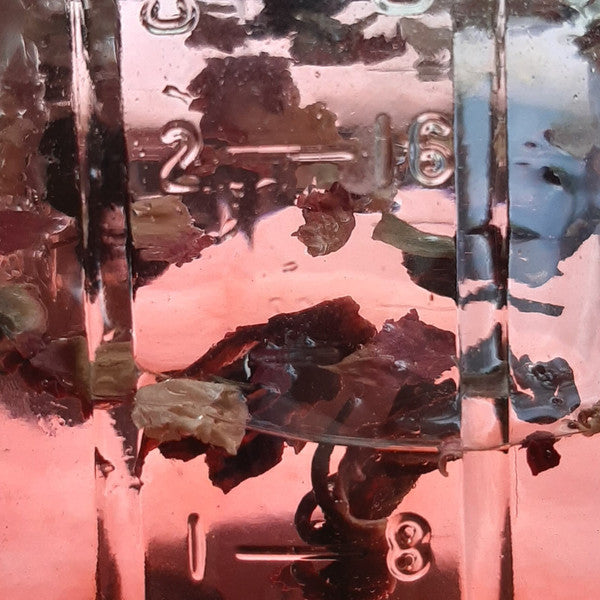 Pontiac Streator : Triz (2xLP, Album)