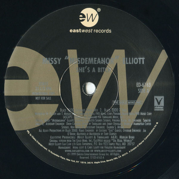 Missy Misdemeanor Elliott* : She's A Bitch (Blaze 2000 Remixes) (12", Promo)