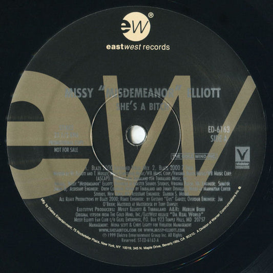 Missy Misdemeanor Elliott* : She's A Bitch (Blaze 2000 Remixes) (12", Promo)