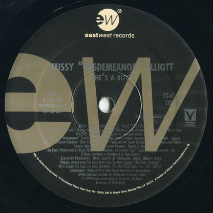 Missy Misdemeanor Elliott* : She's A Bitch (Blaze 2000 Remixes) (12", Promo)