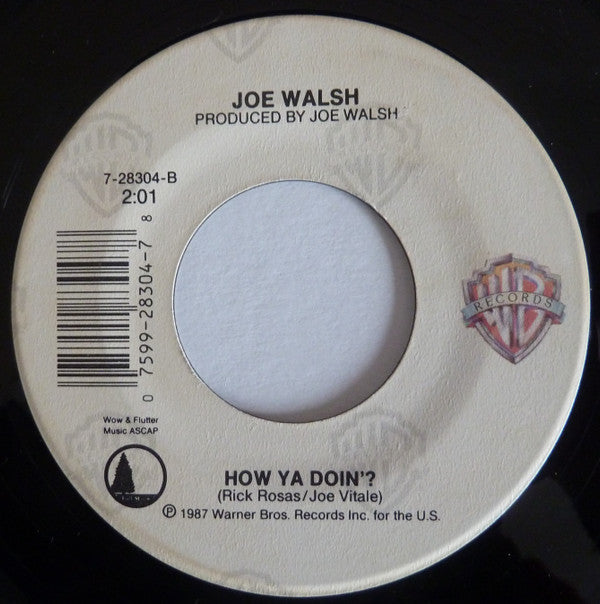 Joe Walsh : The Radio Song (7")
