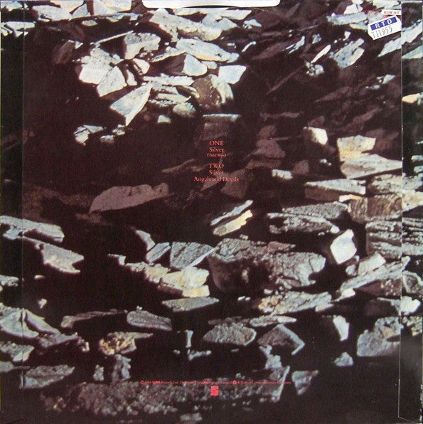 Echo & The Bunnymen : Silver (Tidal Wave) (12")