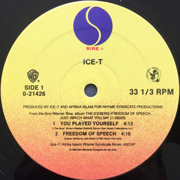Ice-T : You Played Yourself (12", Maxi)