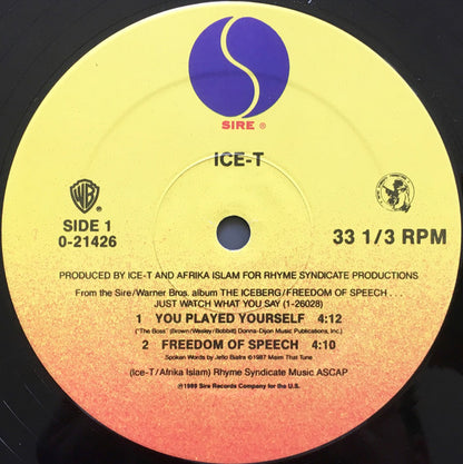 Ice-T : You Played Yourself (12", Maxi)