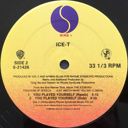 Ice-T : You Played Yourself (12", Maxi)
