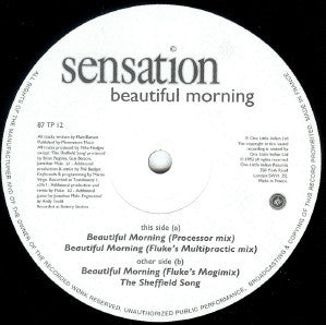Sensation : Beautiful Morning (12")