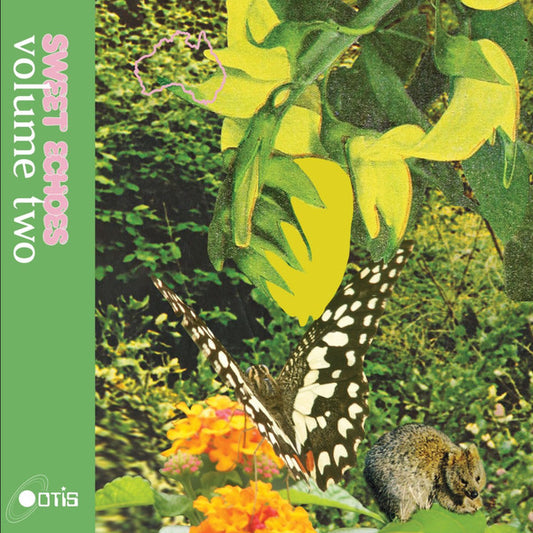 Various : Sweet Echoes Vol 2 (12", Comp)