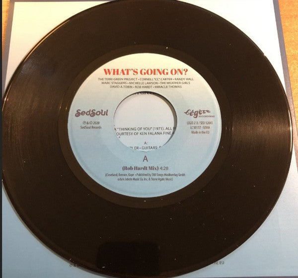 The Terri Green Project : What's Going On? (7")