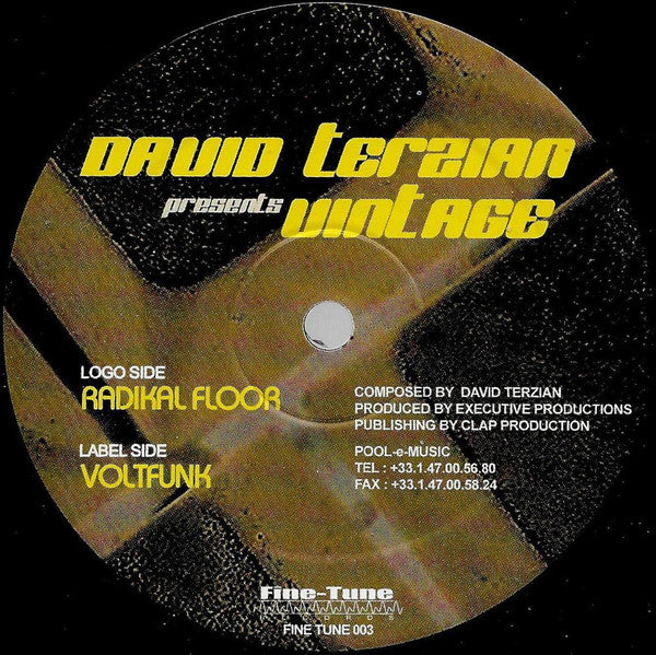 David Terzian Presents Vintage (26) : Radikal Floor / Voltfunk (12")