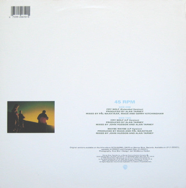 a-ha : Cry Wolf (12", Maxi)