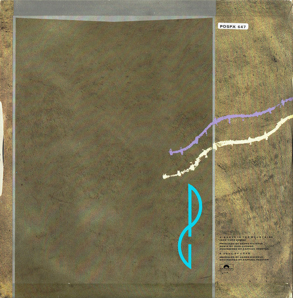 Peter Godwin : Baby's In The Mountains (12")