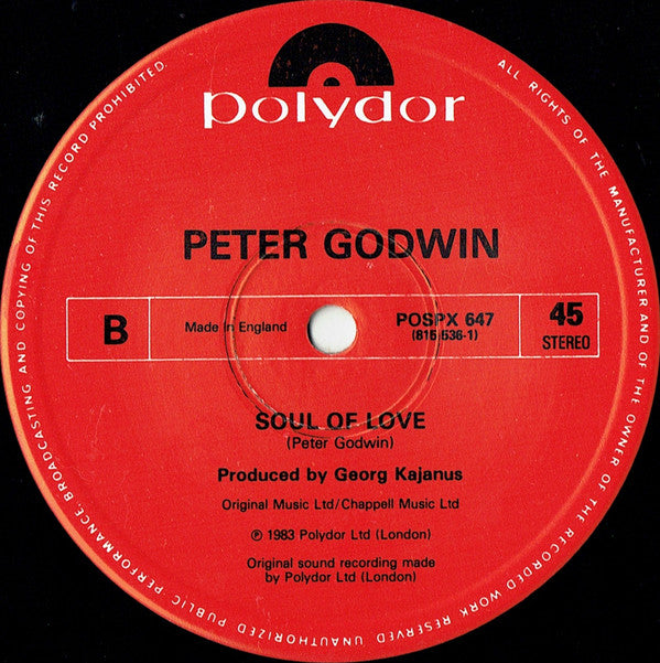 Peter Godwin : Baby's In The Mountains (12")