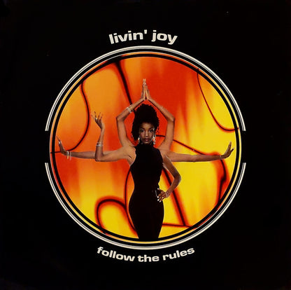 Livin' Joy : Follow The Rules (12")