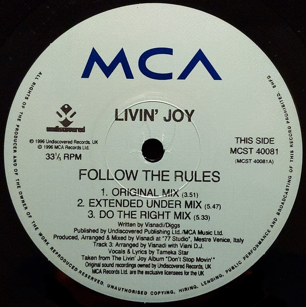 Livin' Joy : Follow The Rules (12")