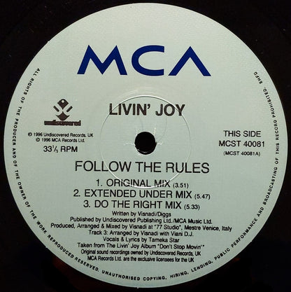 Livin' Joy : Follow The Rules (12")