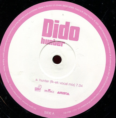 Dido : Hunter (12", Single)