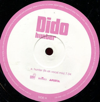Dido : Hunter (12", Single)