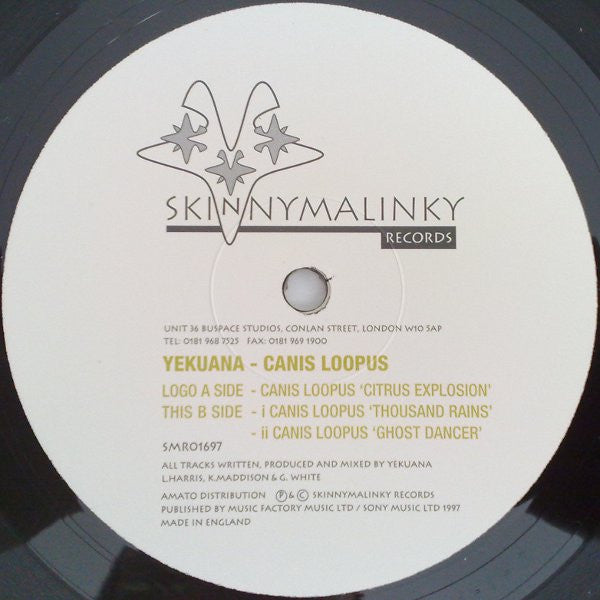 Yekuana : Canis Loopus (12")