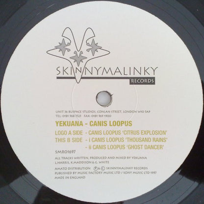 Yekuana : Canis Loopus (12")