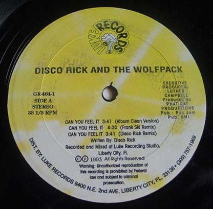 Disco Rick And The Wolf Pack (3) : Can You Feel It (12")