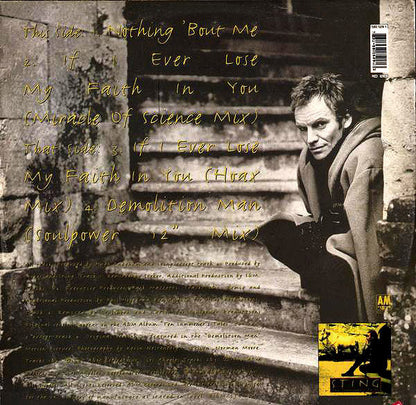 Sting : Nothing 'Bout Me (12", Single)