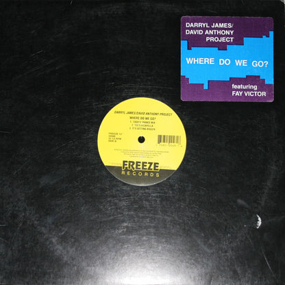 Darryl James & David Anthony Featuring Fay Victor : Where Do We Go? (12")