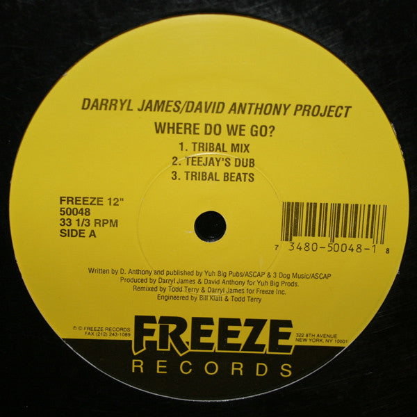 Darryl James & David Anthony Featuring Fay Victor : Where Do We Go? (12")